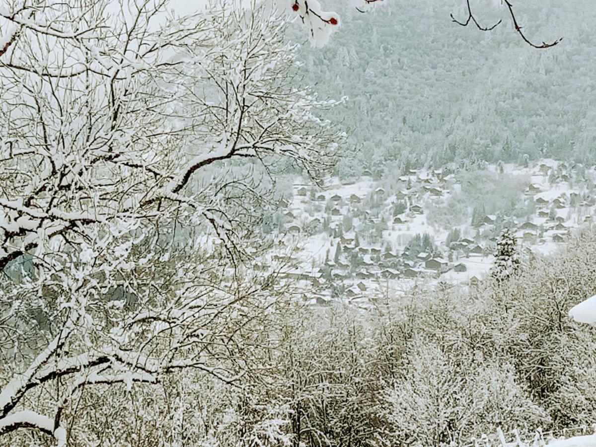 Le Chalet Du Blanc Spa Yoga Aillon-le-Jeune 外观 照片