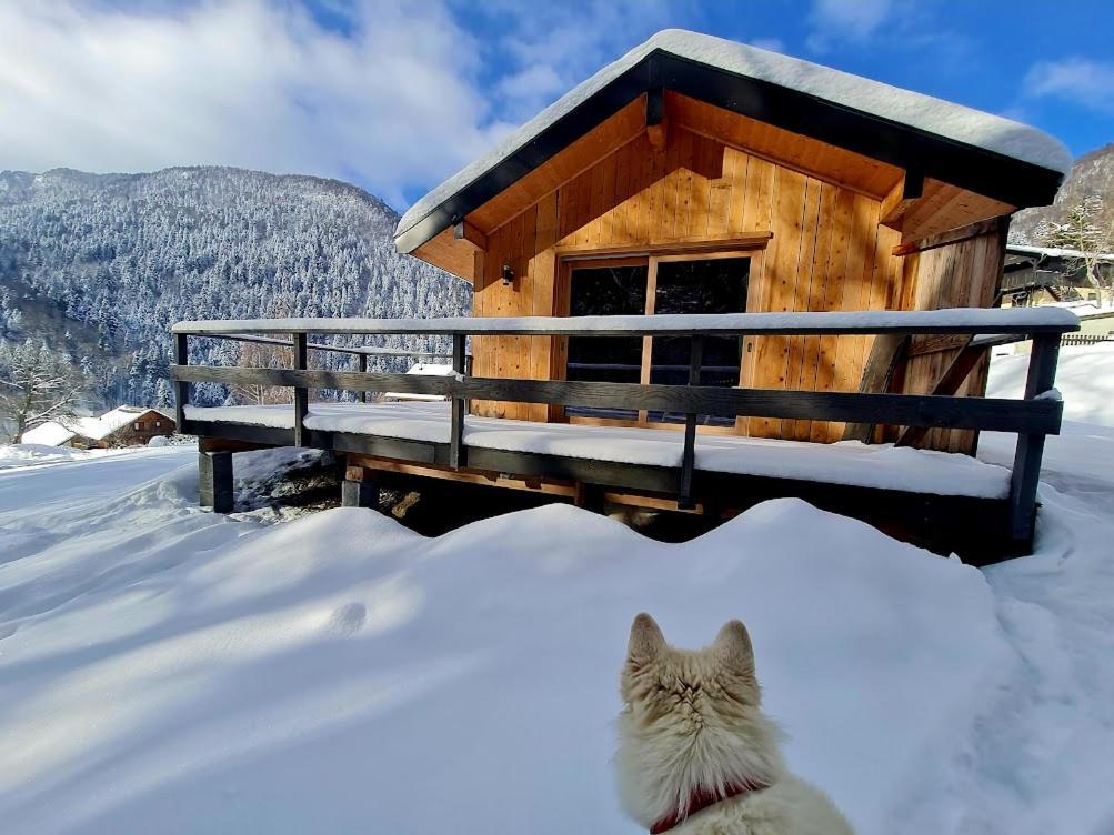 Le Chalet Du Blanc Spa Yoga Aillon-le-Jeune 外观 照片