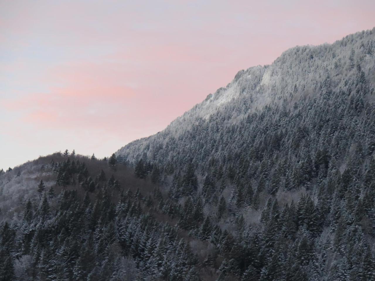 Le Chalet Du Blanc Spa Yoga Aillon-le-Jeune 外观 照片